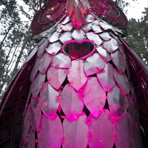 Electric Forest 2013: Part 01